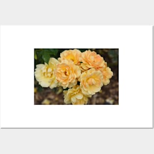 Yellow Rose Bouquet Posters and Art